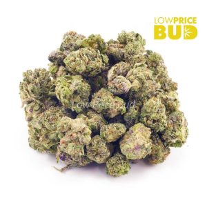 Buy Pink Amnesia (AAAA) – Popcorn Nugs online Canada