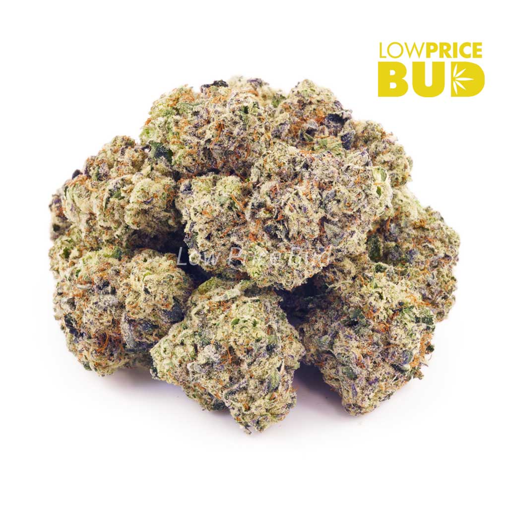 Buy Supreme Lychee Kush (Craft Cannabis) online Canada