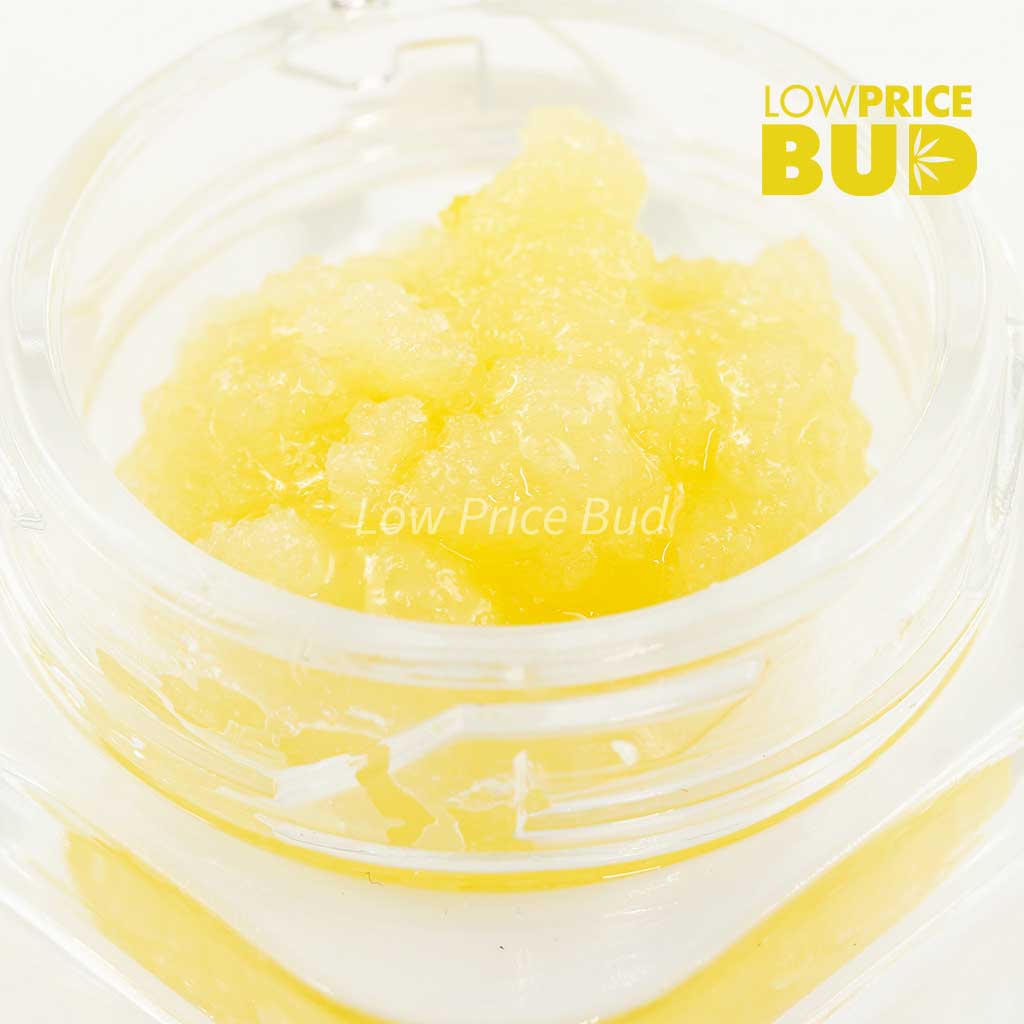 Caviar – Candyland Buy Caviar – Candyland online Canada