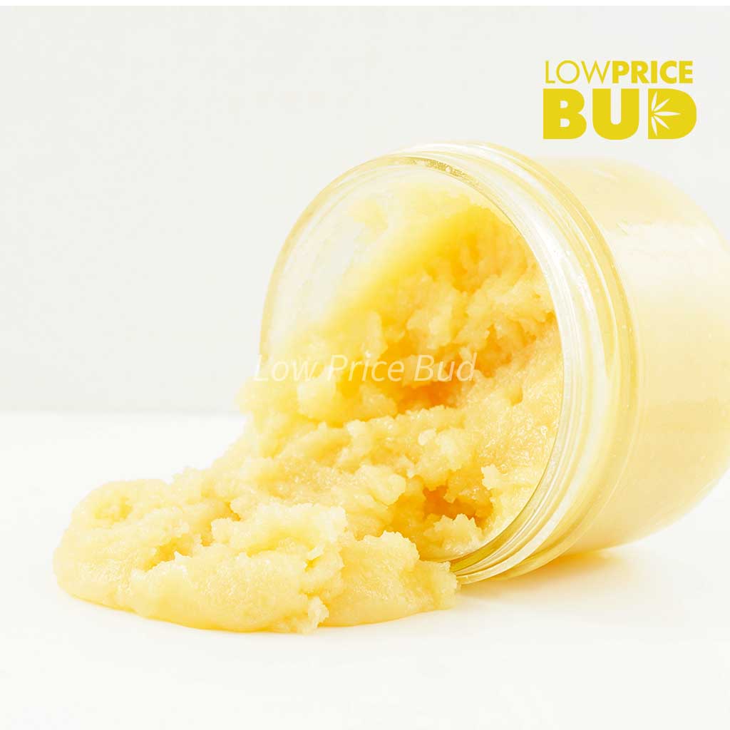 Caviar – Candyland Buy Caviar – Candyland online Canada