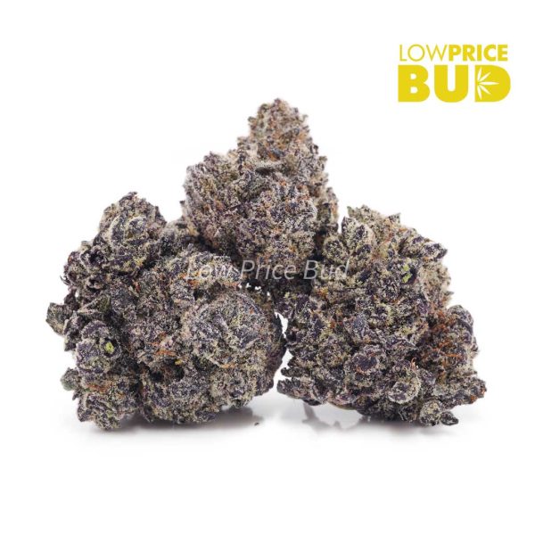 Buy Granddaddy Purple (Craft Cannabis) online Canada
