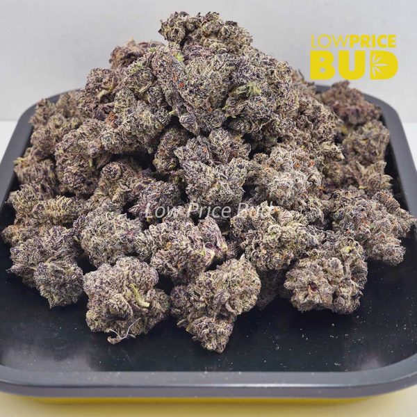 Buy Granddaddy Purple (Craft Cannabis) online Canada