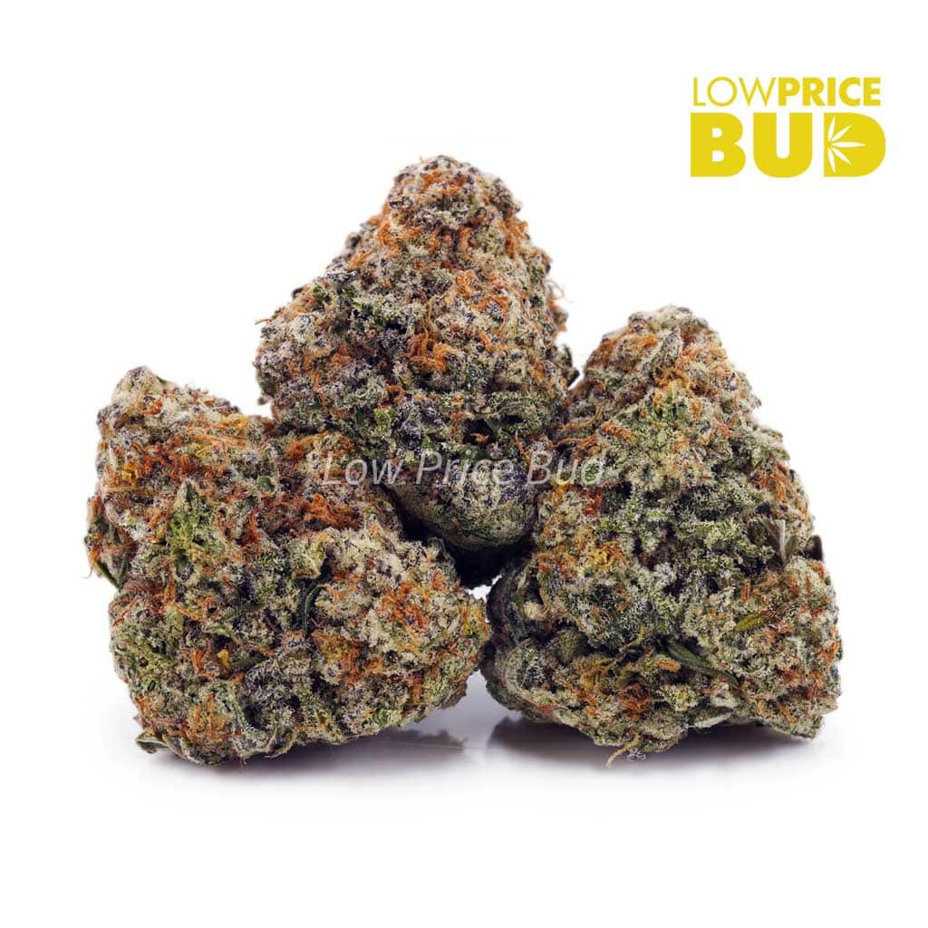 Crazy Glue (AA) Buy Crazy Glue (AA) online Canada