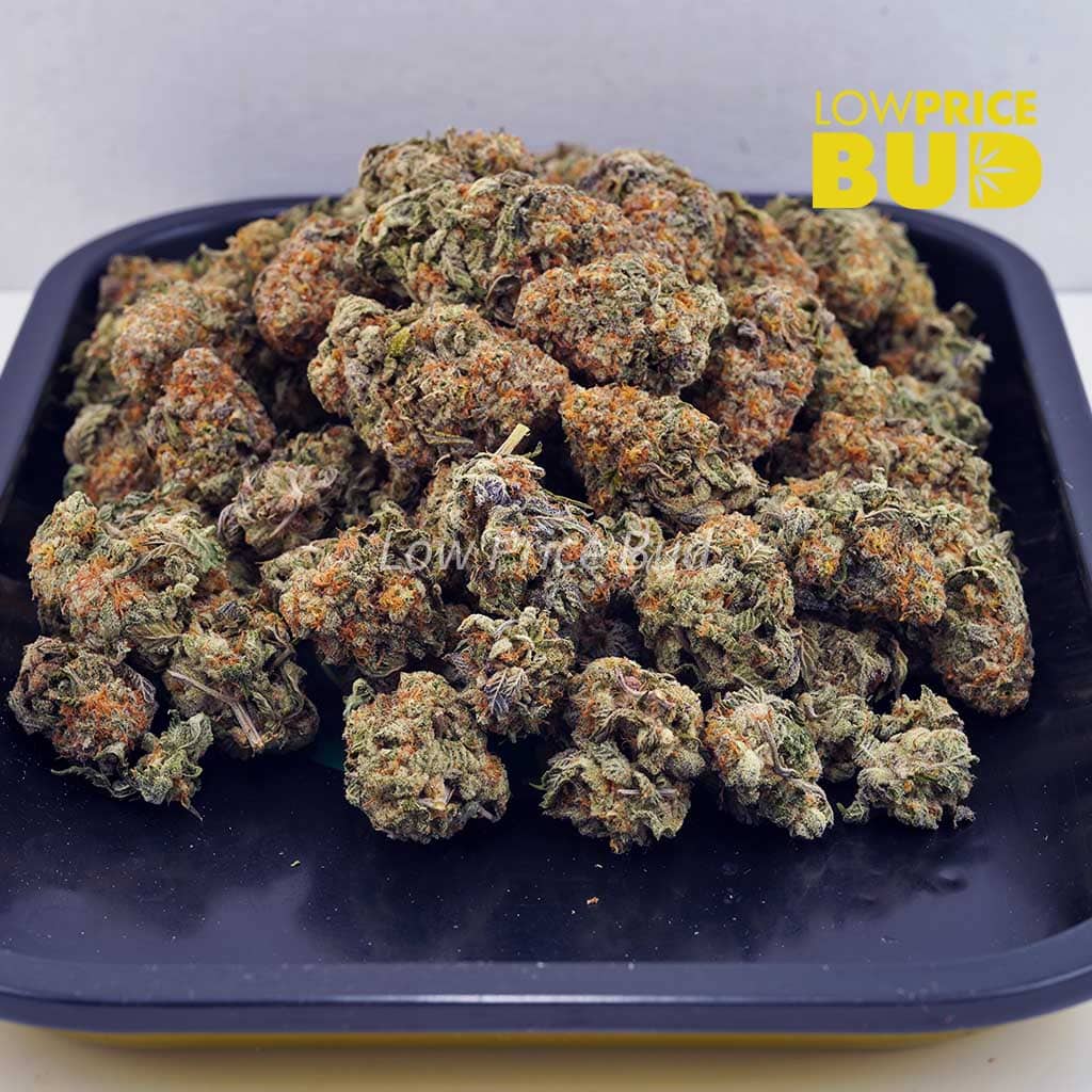 Crazy Glue (AA) Buy Crazy Glue (AA) online Canada
