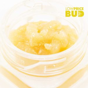 Buy Caviar – Gelato Cake online Canada