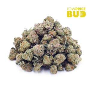 Buy Cinderella 99 (AAAA) – Popcorn Nugs online Canada