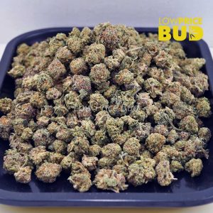 Buy Cinderella 99 (AAAA) – Popcorn Nugs online Canada