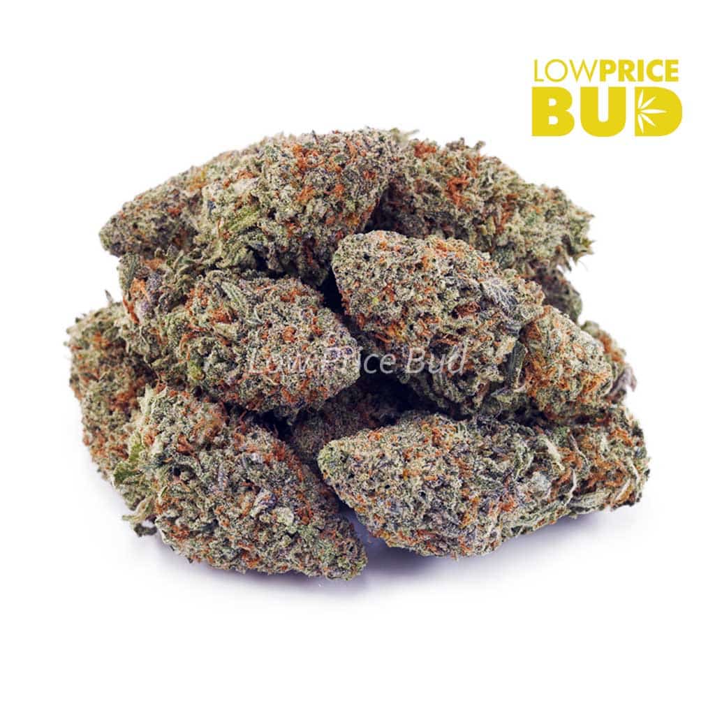 Ghost Train Haze (AA) Buy Ghost Train Haze (AA) online Canada