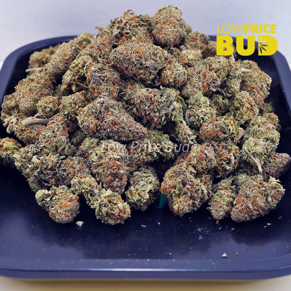Ghost Train Haze (AA) Buy Ghost Train Haze (AA) online Canada