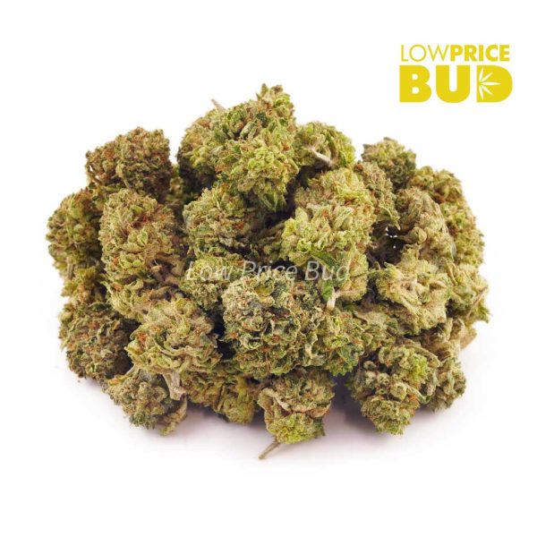 Ice Wreck (AA) Low Price Bud