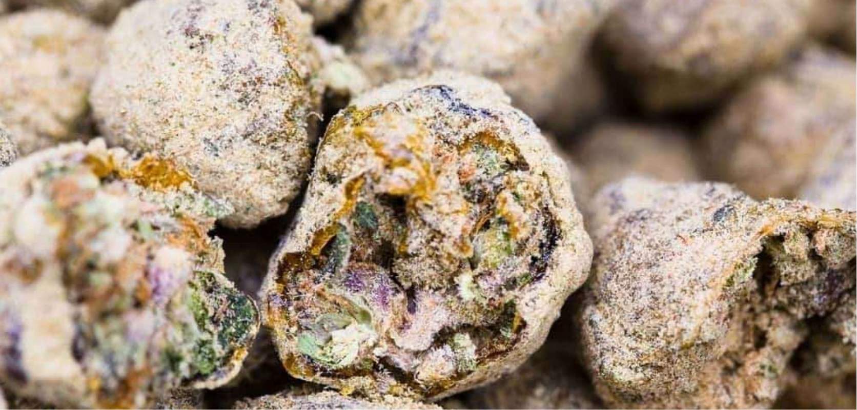 Once you know how it is made, it is easy to understand why moon rocks THC content is so high. 