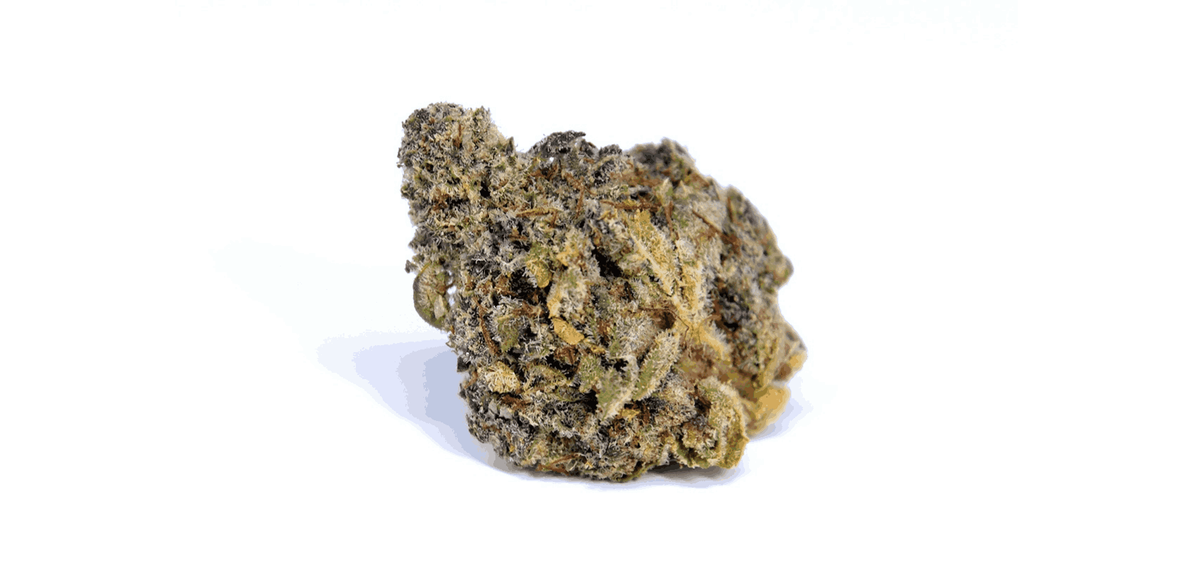 If all of this sounds good, keep scrolling for the internet's best Pink God strain review.