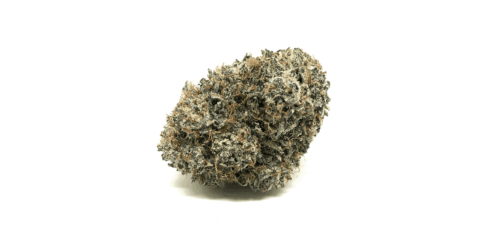 The Pink God strain is a mild Indica leaning hybrid (70:30 Indica to Sativa ratio) with around 23 to 25 percent of THC. 