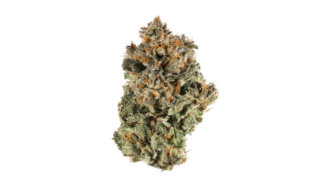 In this Rainbow Sherbet strain review, you'll learn about this hybrid strain, its characteristics, flavour & aroma, terpene profile, THC content, & more.