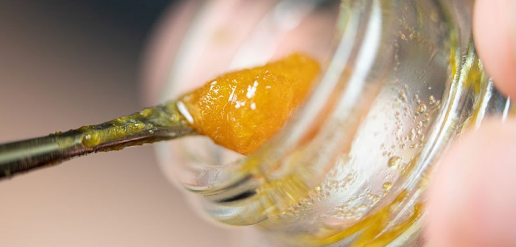 You are wondering where to buy THC resin. But, what does THC resin actually refer to and why is it so important to choose a reliable online dispensary?