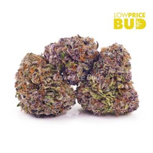 Buy Purple Frost (AAAA) online Canada