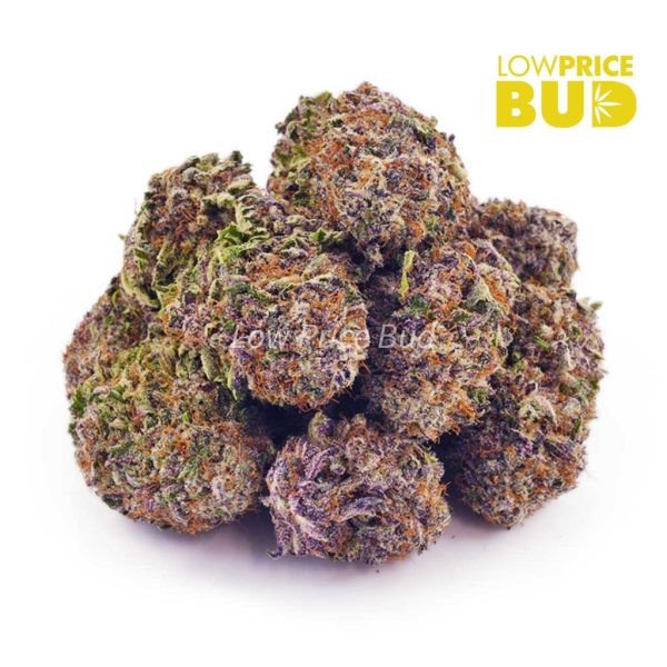 Buy Purple Frost (AAAA) online Canada