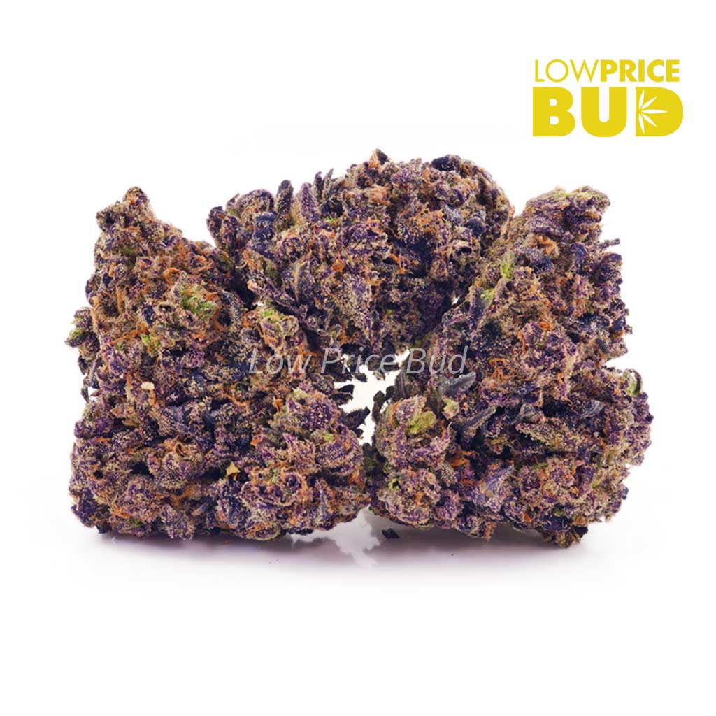 Banana Diesel (AAA) Buy Banana Diesel (AAA) online Canada
