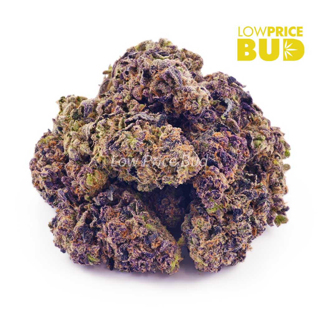 Banana Diesel (AAA) Buy Banana Diesel (AAA) online Canada