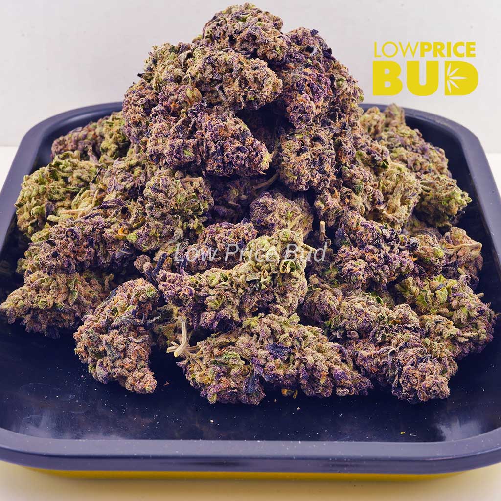 Banana Diesel (AAA) Buy Banana Diesel (AAA) online Canada
