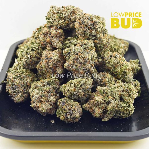Buy Supreme Blueberry (Craft Cannabis) online Canada
