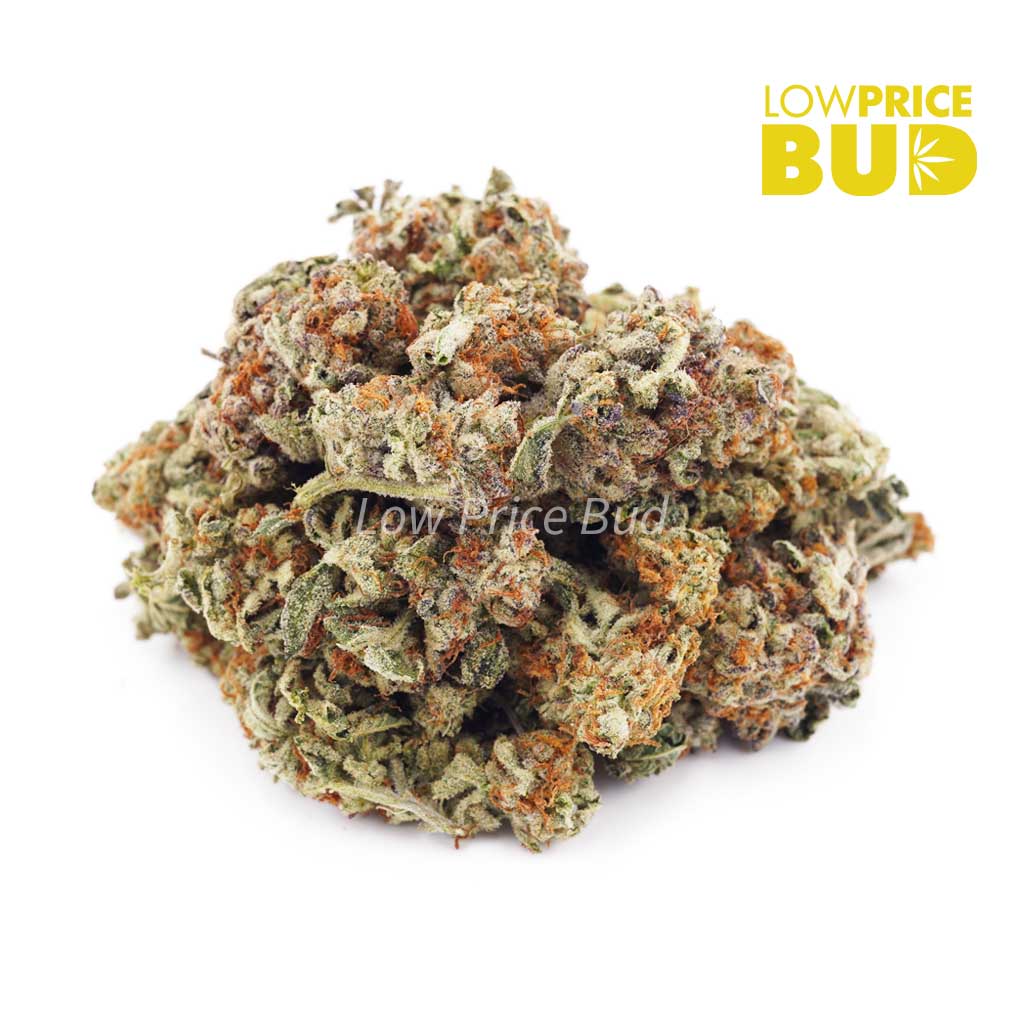 Banana Cookies (AAAA) Popcorn Nugs - Buy Online at Affordable Prices