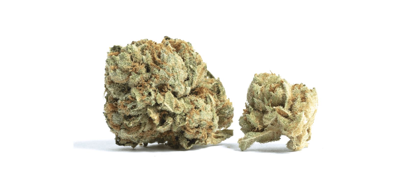Be sure to buy your Bubba OG strain weed, concentrates and other THC treats from Low Price Bud online weed dispensary.