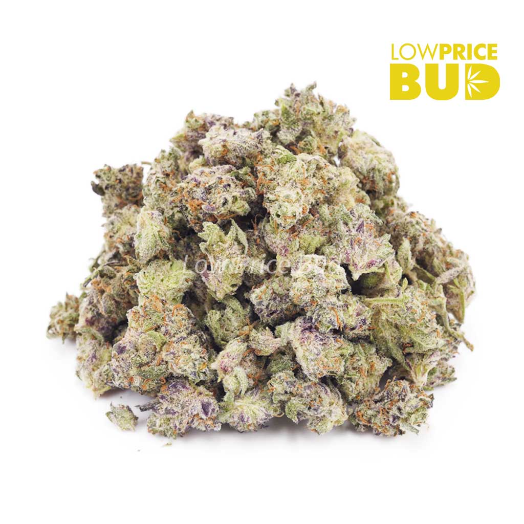 Black Garlic (AAAA) – Popcorn Nugs Buy Black Garlic (AAAA) – Popcorn Nugs online Canada