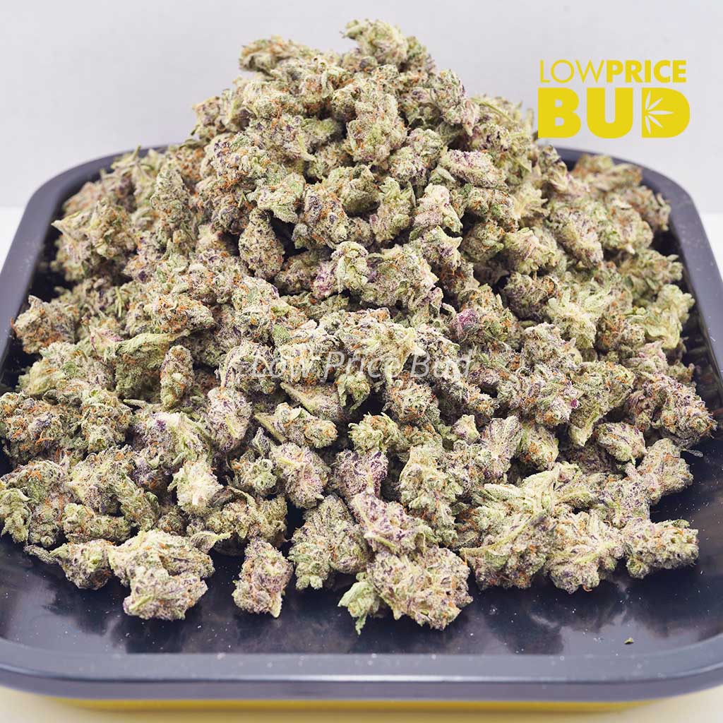 Black Garlic (AAAA) – Popcorn Nugs Buy Black Garlic (AAAA) – Popcorn Nugs online Canada