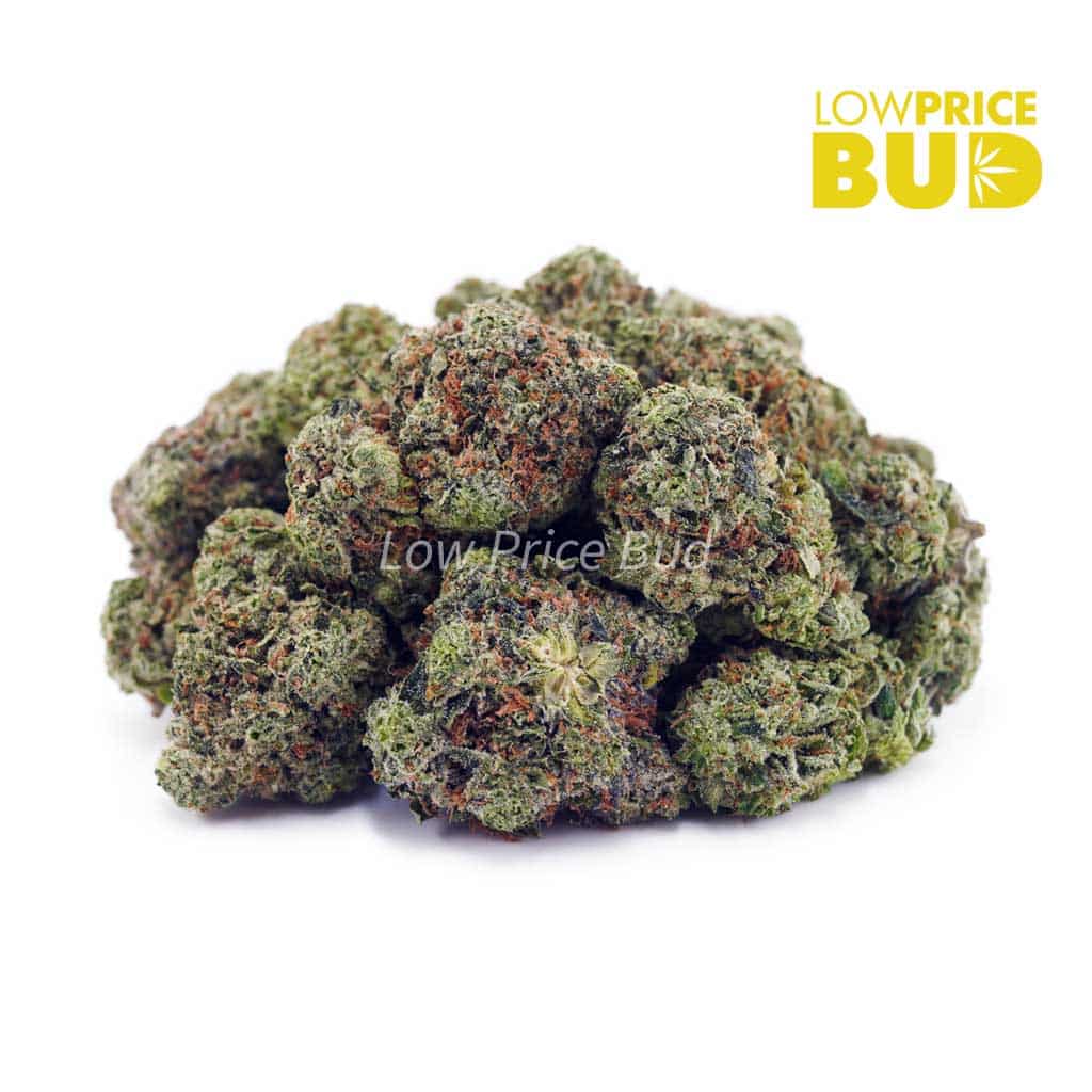 Hindu Kush (AAA) Buy Hindu Kush (AAA) online Canada