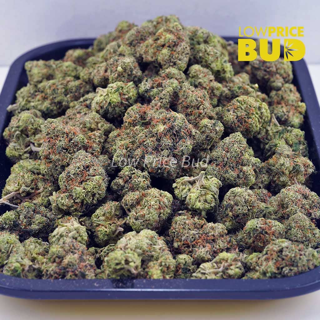 Hindu Kush (AAA) Buy Hindu Kush (AAA) online Canada
