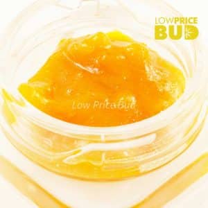 Caviar – Jack Herer Buy Caviar – Jack Herer online Canada