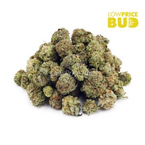 El Chapo (AAAA) – Popcorn Nugs Buy El Chapo (AAAA) – Popcorn Nugs online Canada
