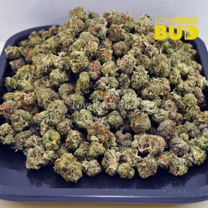 El Chapo (AAAA) – Popcorn Nugs Buy El Chapo (AAAA) – Popcorn Nugs online Canada