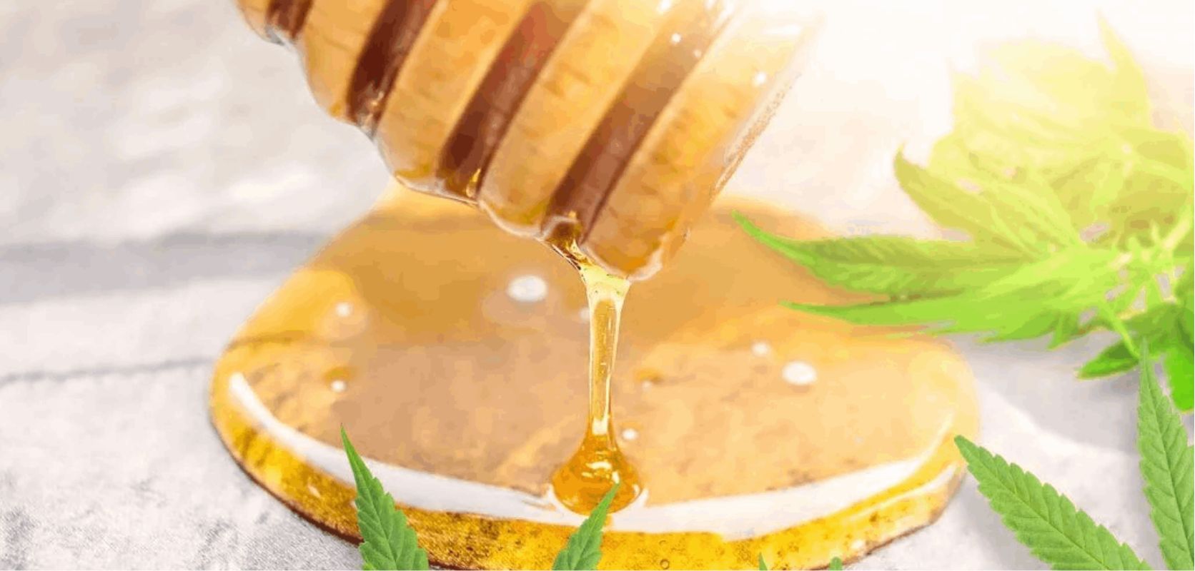 Before kicking off this article about honey with THC and featuring the best products you can get from an online dispensary in Canada.