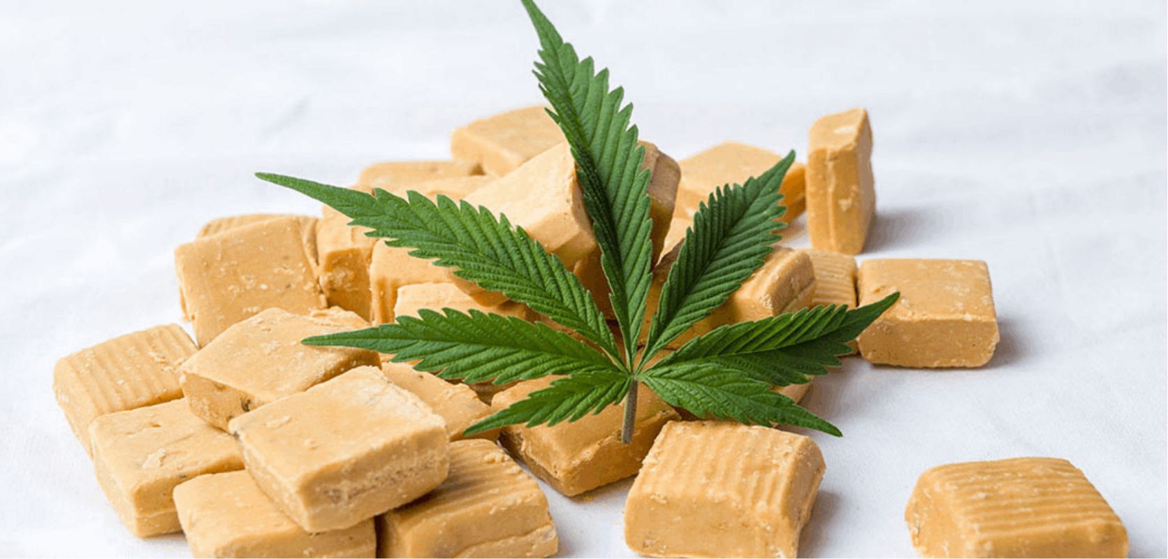 Luckily for you, this article provides a step-by-step guide that will provide you with everything you need to know on how to make THC caramels. 