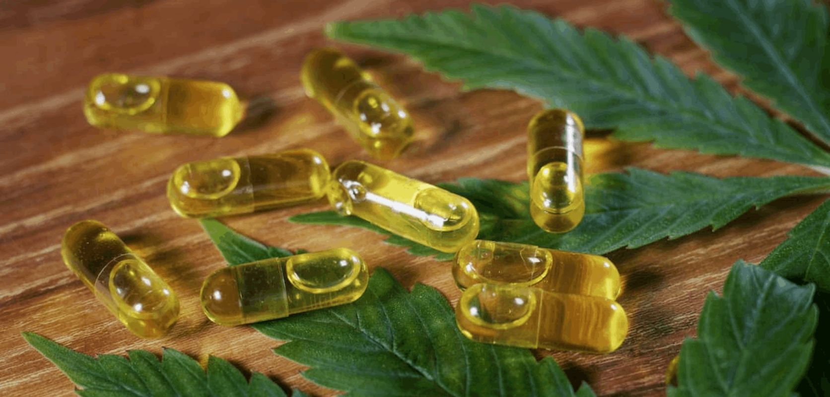 In short, THC pills or weed capsules are oral medications that contain the psychoactive component of the cannabis plant, delta-9-tetrahydrocannabinol