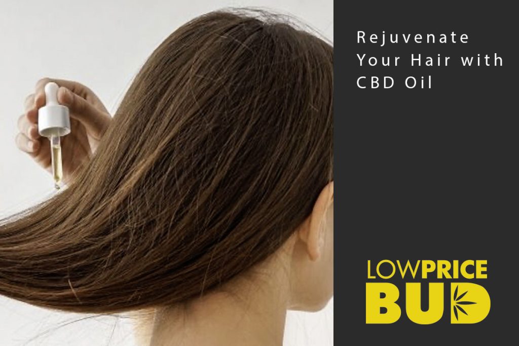 Rejuvenate Your Hair with CBD Oil - Low Price Bud