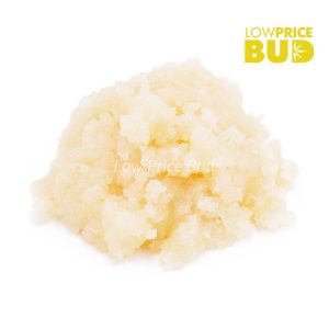 Buy Build Your Own Concentrate Oz 28 x 1g online Canada