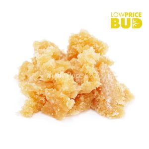 Buy Build Your Own Concentrate Oz 28 x 1g online Canada