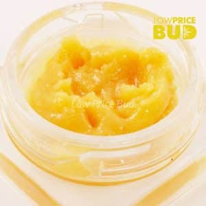 Live Resin – Platinum Pink Buy Live Resin – Platinum Pink online Canada