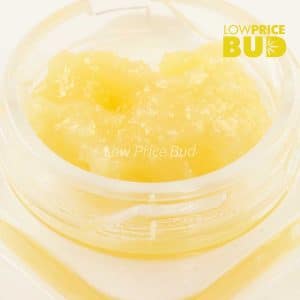 Caviar – Atomic Pink Buy Caviar – Atomic Pink online Canada