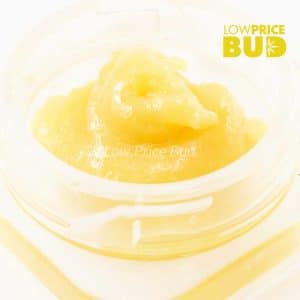 Caviar – Bubba Kush Buy Caviar – Bubba Kush online Canada