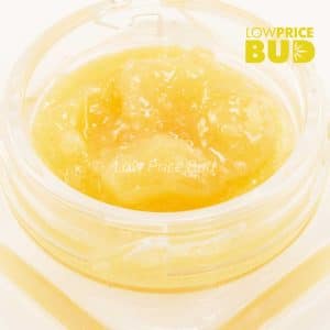 Caviar – Death Pink Buy Caviar – Death Pink online Canada