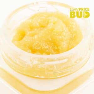 Caviar – Gas Mask Buy Caviar – Gas Mask online Canada