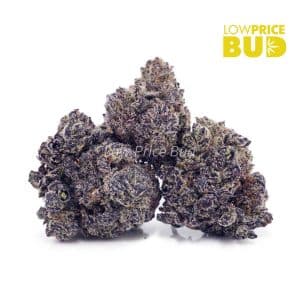 Buy Build Your Own (Craft Cannabis) Quarter Pound online Canada