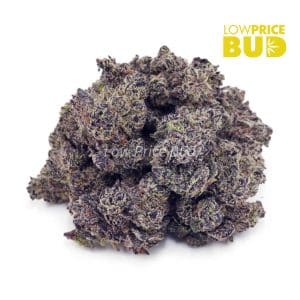 Buy Vanilla Ice (Craft Cannabis) online Canada