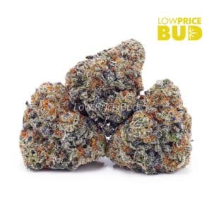 Buy Cookie Dough (AAAA) online Canada