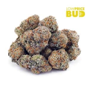 Buy Cookie Dough (AAAA) online Canada