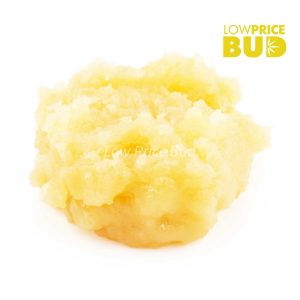 Caviar – Purple Kush Buy Caviar – Purple Kush online Canada